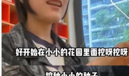 台湾黄先生爆料视频,揭秘事件背后惊人真相
