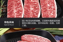 原切牛排爆料视频大全集,视频大全集深度解析