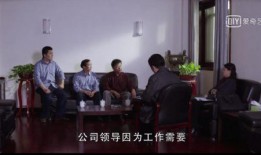 国家审计电视剧在线观看