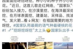 台湾黄先生爆料视频,揭秘事件背后惊人真相