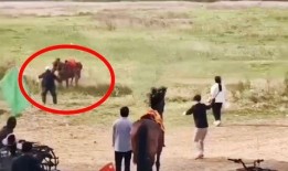 惊魂网友爆料事件视频播放,神秘事件视频曝光，真相令人胆战心惊
