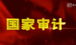 国家审计电视剧在线观看