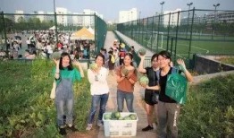 吃瓜网红宿舍,吃瓜网红宿舍的欢乐日常