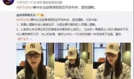 四川蒋先生爆料新闻事件,揭开XX事件背后真相