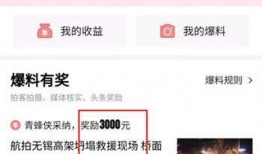 忻州头条早上爆料视频,揭秘忻州最新爆料视频背后的惊人真相！