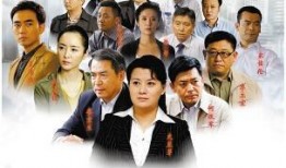 国家审计电视剧在线观看
