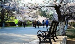 中山公园最新爆料信息,神秘古建筑群惊现，历史之谜待解