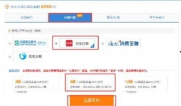 京东白条新闻爆料,揭秘背后的金融创新与风险挑战