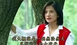 燕子的吃瓜娱乐,揭秘娱乐圈幕后故事