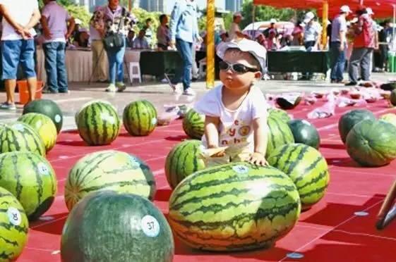 吃瓜大赛在线播放,在线观看，笑料横生的娱乐盛宴